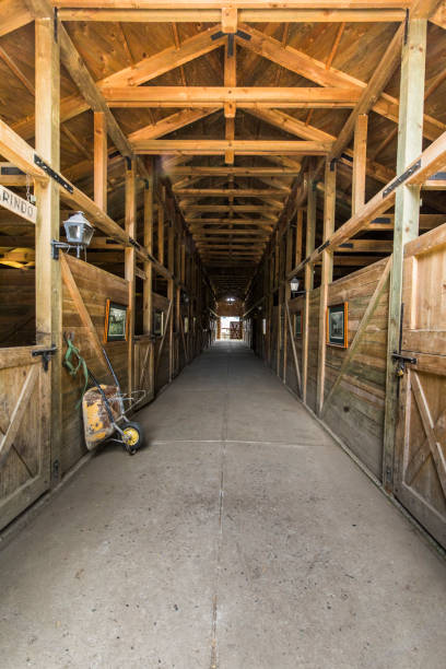 una vista de profundidad geométrica dentro de un caballos de madera estable con su equipo para caballos en lago rupanco, región de los lagos, chile - horse stall stable horse barn fotografías e imágenes de stock