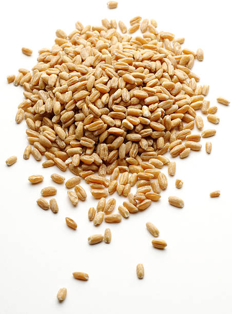 istock Bunch of wheat grain on white background 104452265