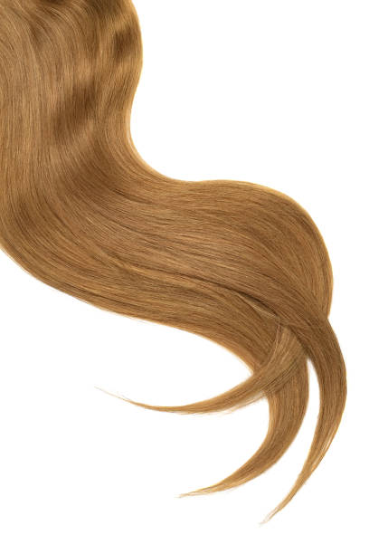 istock Brown hair isolated on white background. Long beautiful ponytail 1044523044