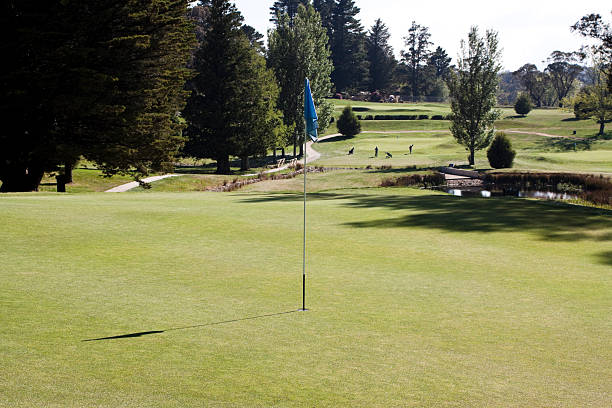 istock Putting green, golf course with trees and blue flag 104452312