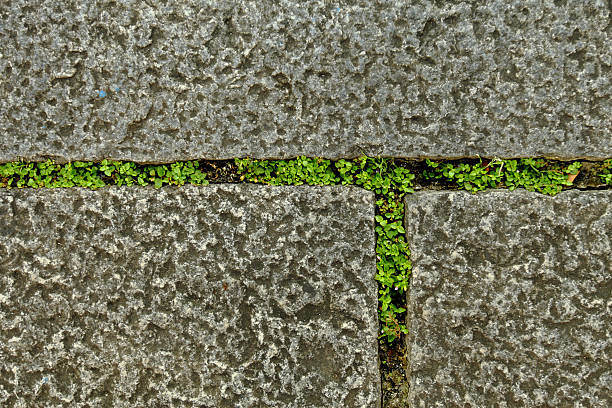 istock Closeup of pavement stones 104452334