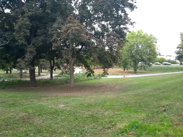 istock Scenic summer park view 1044524494