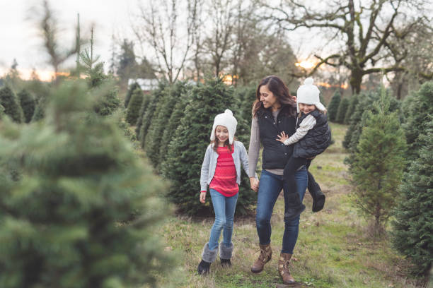 istock Mom walks through a Christmas tree farm with her daughters 1044535738