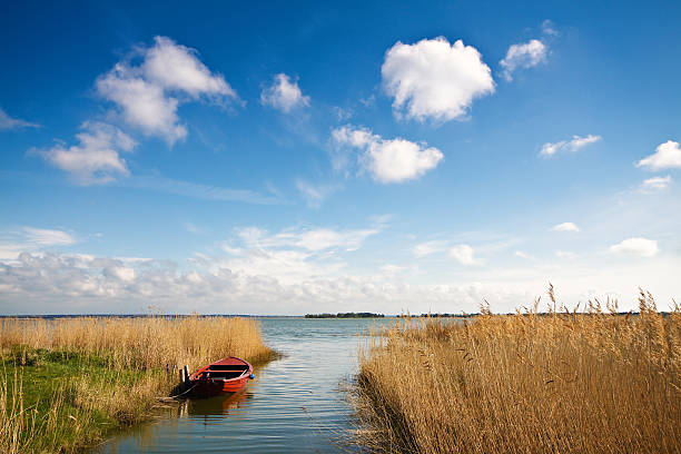 A beautiful landscape of a rivers end Landscape in Mecklenburg Western-Pomerania. mecklenburg vorpommern stock pictures, royalty-free photos & images