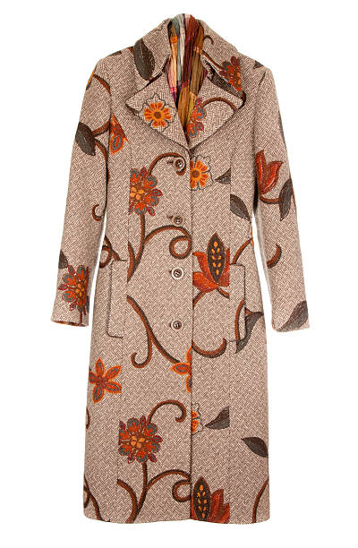 istock Feminine brown winter coat 104454657
