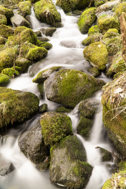istock Flowing motion of Waterfall 1044548738
