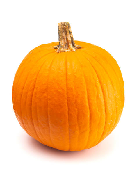 istock A Single Large Orange Pumpkin on a White Background 1044553156