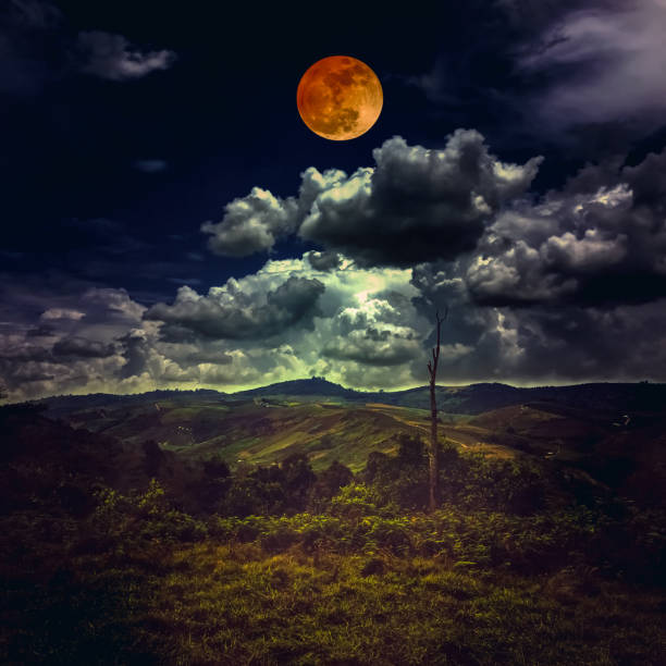 schöne berglandschaft mit grüner baum wald, herrliche natur bedeckt. - full moon moon lunar eclipse red stock-fotos und bilder