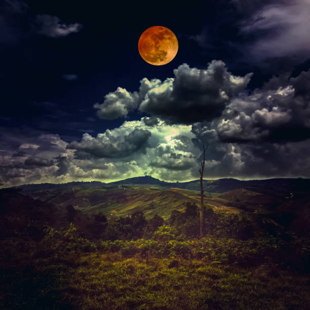 Beautiful mountain landscape covered with green tree forest, amazing nature. Night sky with red moon behind partial cloudy above mountain range. Serenity background. The moon taken with my camera.