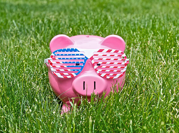 piggy bank stock photo