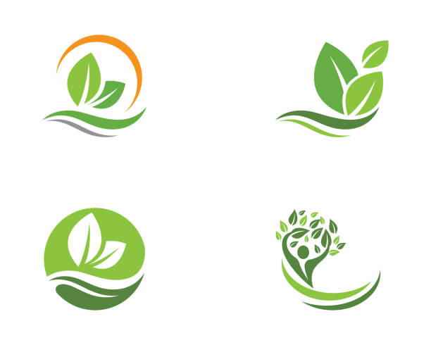 baum-blatt-vektor-logo-design - water drop leaf earth stock-grafiken, -clipart, -cartoons und -symbole