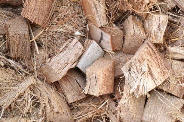 istock coconut spathe fiber on the ground 1044601954
