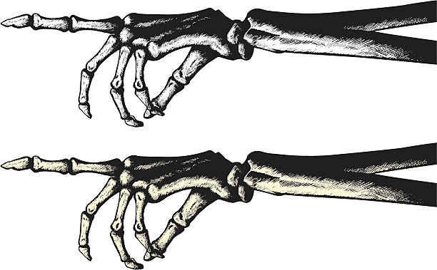 Ink drawing of a pointing skeleton hand vector art illustration