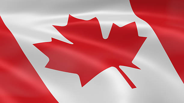 istock Canadian flag in the wind 104460581