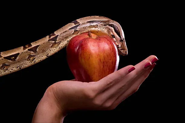 Female holding apple and snake, photographed over black background.