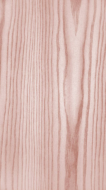 Holz texture – Foto