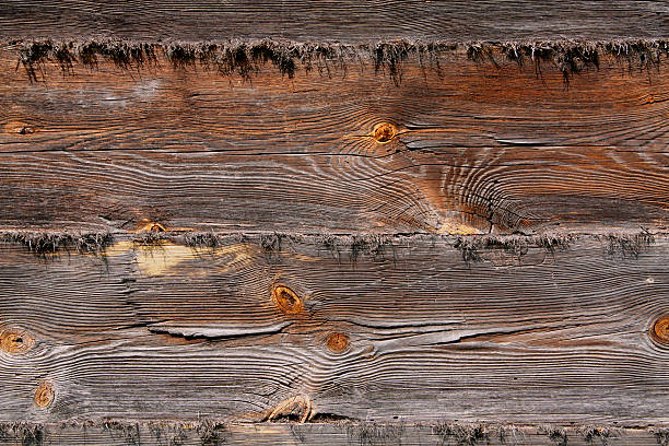 Grunge Holz Textur Hintergrund – Foto
