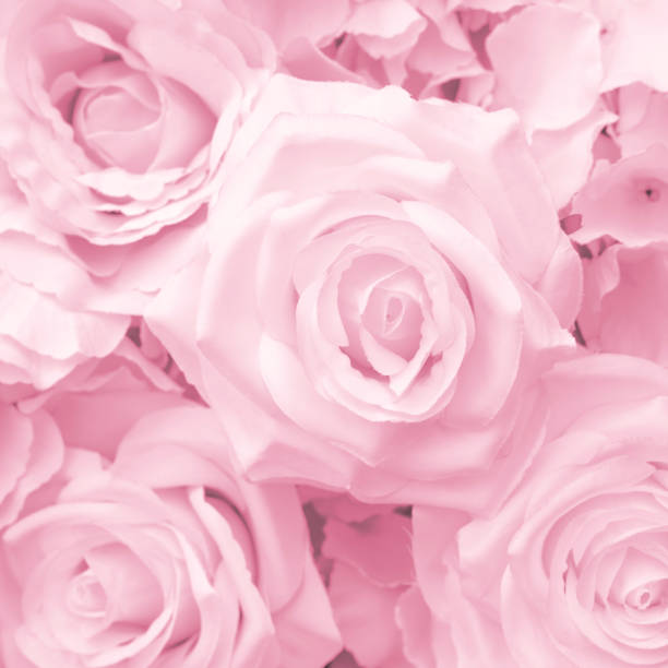 istock Pink Decoration artificial rose flower 1044623932