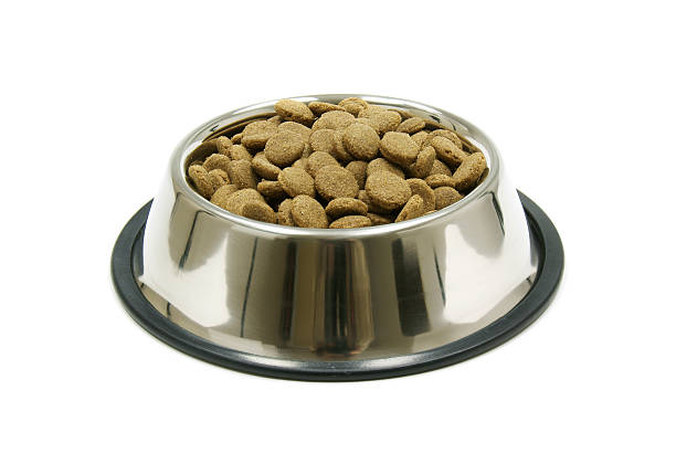 istock pet food in the bowl 104463024