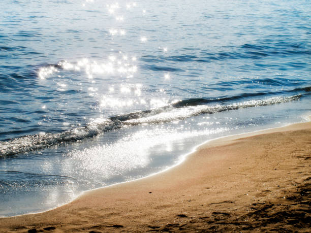 istock Seascape with empty golden color sandy beach and sunlight reflection 1044643032