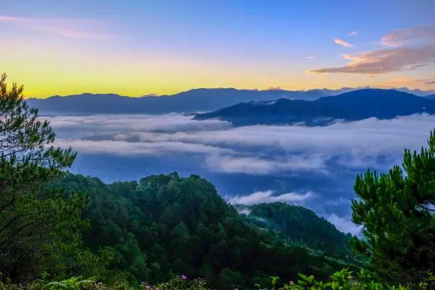 Sea of Clouds at Marlboro Hills in Sagada, Philippines