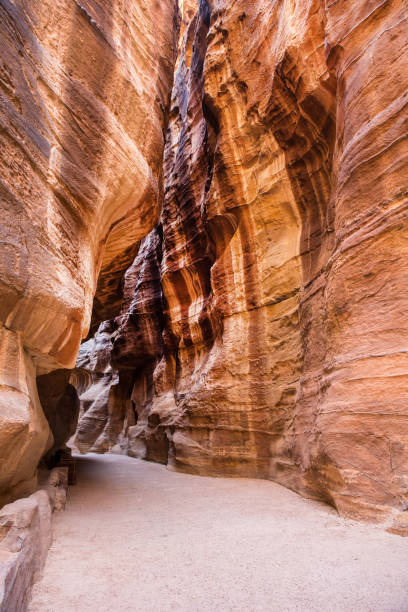 istock The Siq canyon, Petra, Jordan 1044653880