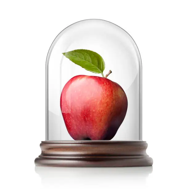 Red apple with leaf in glass bell jar.