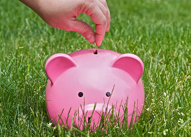 istock piggy bank 104465826