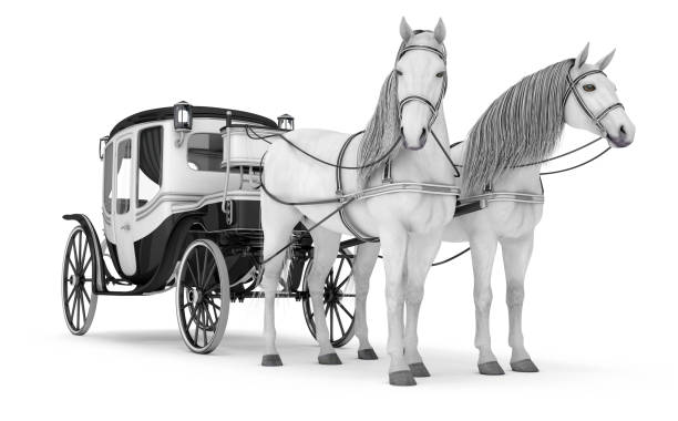 istock Pair of bay horses pulled into a carriage. 1044660812