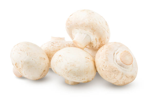 istock mushroom, champignon, isolated on white background, clipping path, full depth of field 1044666240