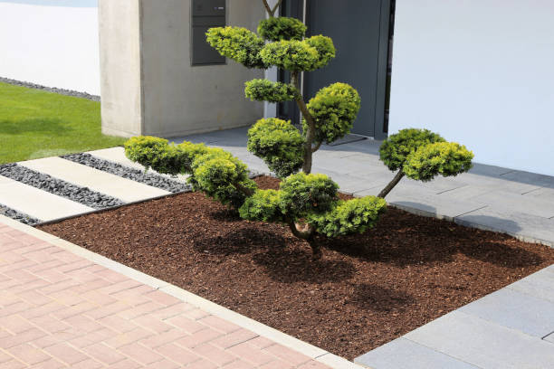 istock Residential home with neat and tidy front yard 1044666712