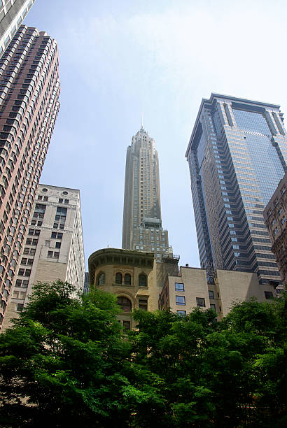 istock Trees in front of Manhattan skyscrapers 104466780
