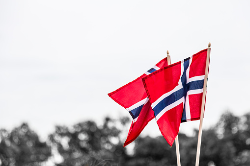 Close up color image depicting two Norwegian national flags blowing in the wind outdoors with a desaturated background so that the red, white and blue of the flags is really accentuated. Lots of room for copy space.