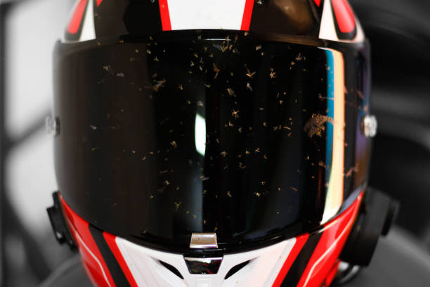 грязный мотоциклетный шлем. шлем в мертвых мух. шлем после гонки - dead race стоковые фото и изображения