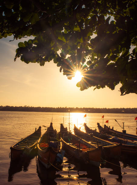 debout près de bord de l’eau au coucher du soleil avec des fusées éclairantes soleil l‟arbre de bateau de pêche - waters edge lake beach tree photos et images de collection