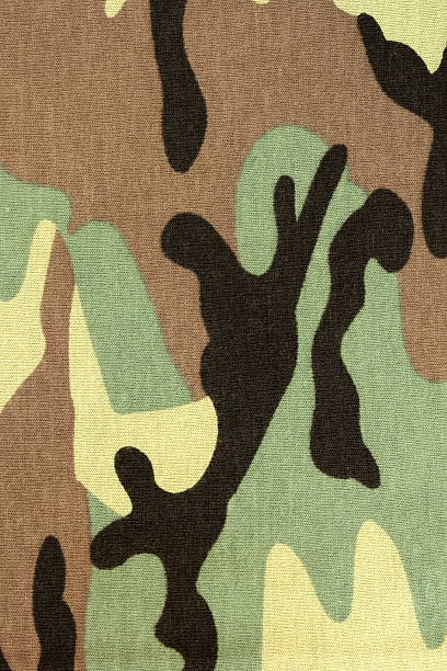 istock woodland camouflage background 104468037