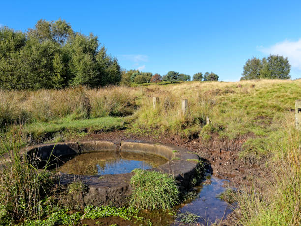 Sutton Park UK Source brook surrounded by a stone circle in Sutton Park. sutton park stock pictures, royalty-free photos & images