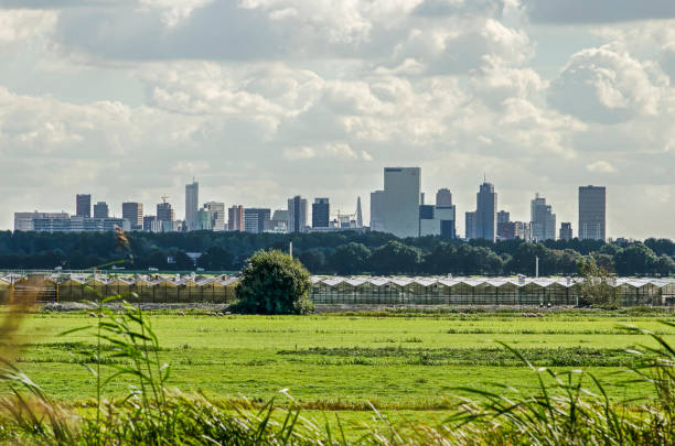 istock Polder, greenhouses and skyline 1044699918