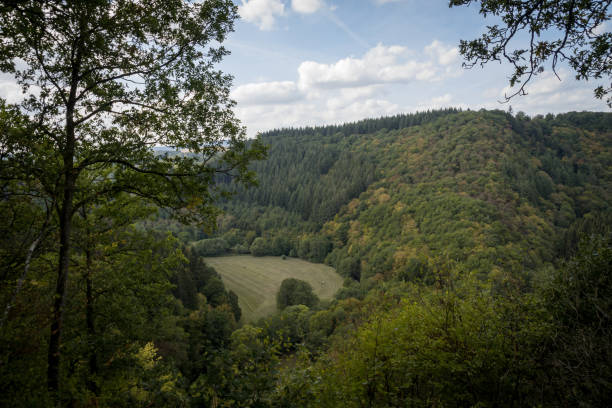 istock Hiking Trial 