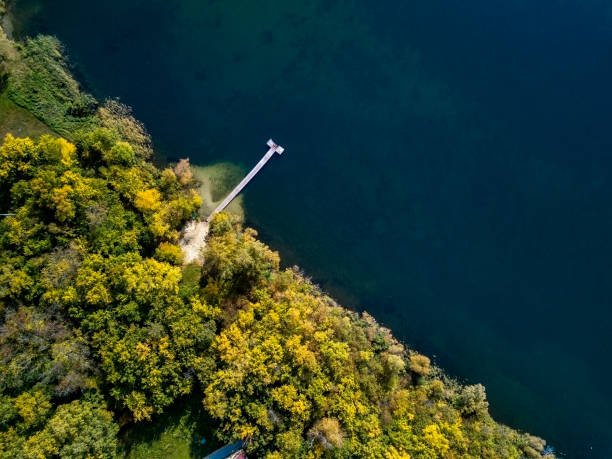 istock Drone view of green tree crones growing in lake shore, top down view 1044707592