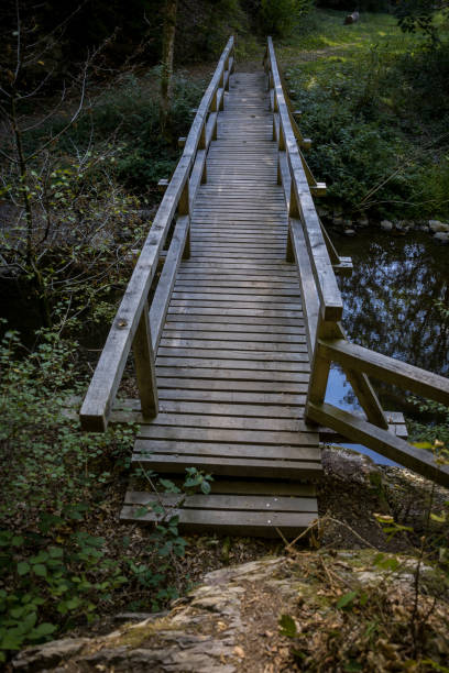 istock Hiking Trial 