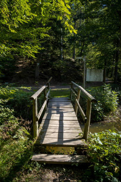 istock Hiking Trial 
