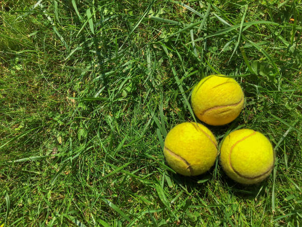 istock Tennis balls on grass 1044711236