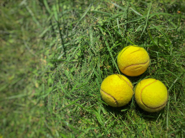 istock Tennis balls on grass 1044711276