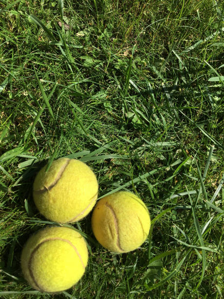 istock Tennis balls on grass 1044711336