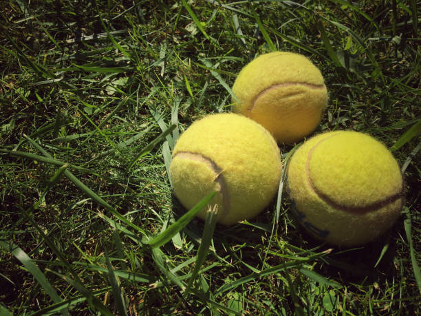 istock Tennis balls on grass 1044711472