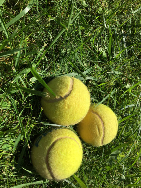 istock Tennis balls on grass 1044711480