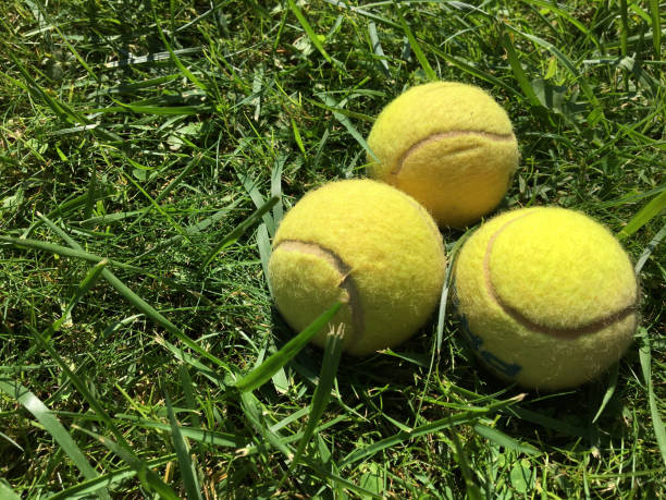 istock Tennis balls on grass 1044711486