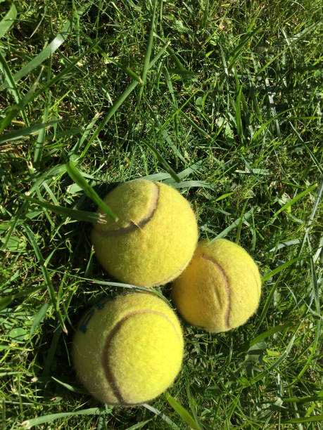 istock Tennis balls on grass 1044711516