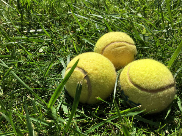 istock Tennis balls on grass 1044711536